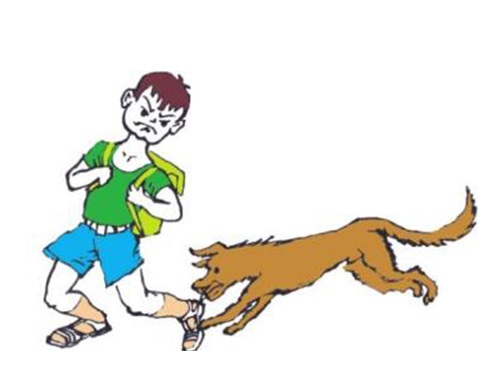 有伤口千万别让宠物舔舐 小心狂犬病感染