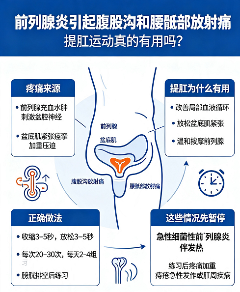前列腺炎引起腹股沟和腰骶部放射痛，提肛运动真的有用吗?