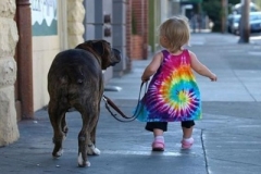 狂犬病致死率百分比 春季遛狗更需谨慎