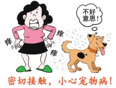 与宠物密切接触 她患上宠物病--猫癣