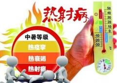 打球突然倒地不省人事 竟是热射病所致