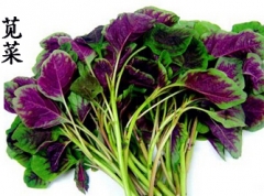 食用苋菜后晒日光过敏 因日光性皮炎脸色如同黑