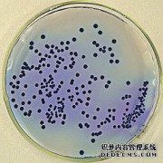 支原体对生殖健康危害大，如何将其“清除”干