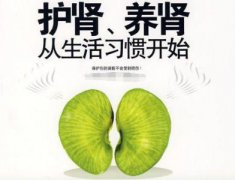 养肾、保肾，要怎么做？