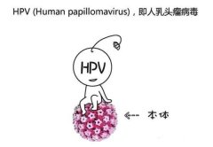 打算要孩子查出HPV阳性还能要吗?