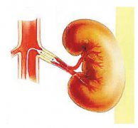 肾不好人就老!这4个症状说明肾不好了
