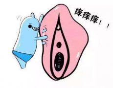 外阴瘙痒用什么效果好