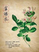 解毒消肿的中成药有哪些